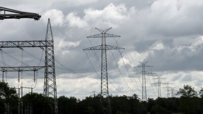 Bürgervertreter kritisieren Verfahren zu Stromtrassenbau im Vogtland - Die Bürgerinitiative Erdkabel Vogtland fordert, dass die neue Leitung komplett unter die Erde kommt. 