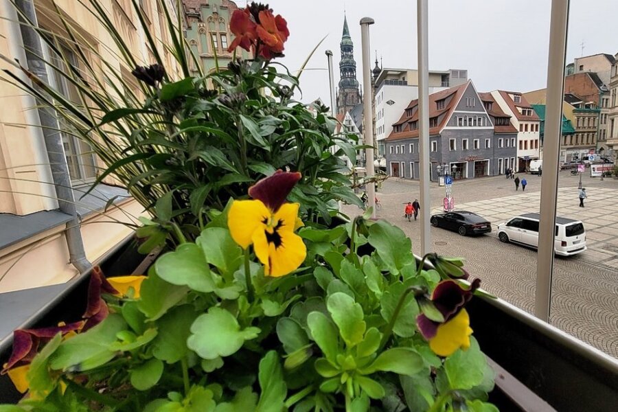 Bunte Blumen bringen Farbe in Zwickaus Innenstadt - Die Balkonkästen am Rathaus in Zwickau wurden bereits am Donnerstag schön gemacht. In der Innenstadt beginnt am Montag die diesjährige Frühjahrsbepflanzung. 