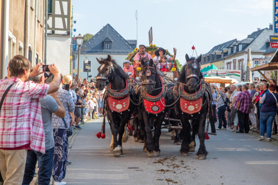 Buntes Treiben: Zwönitzer feiern Erntedankfest und Pferdetag - Der Festumzug zum Pferdetag lockte viele Besucher.