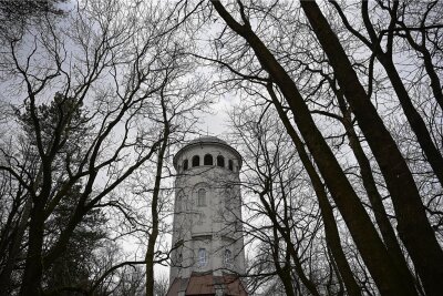 Burgstädt schließt Wettinhain - Der Burgstädter Wettinhain mit seinem Taurasteinturm. Bis Freitag sollte er wegen Sturmwarnung gemieden werden. 