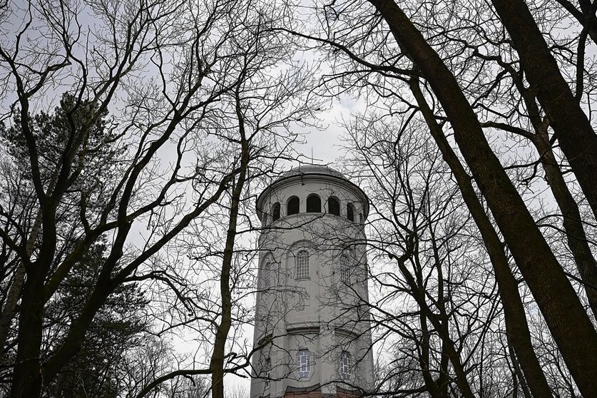 Burgstädt schließt Wettinhain - Der Burgstädter Wettinhain mit seinem Taurasteinturm. Bis Freitag sollte er wegen Sturmwarnung gemieden werden. 