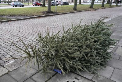 Burgstädt: Wann und wo werden die Weihnachtsbäume abgeholt? - Ein Weihnachtsbaum liegt auf einem Gehweg und wartet auf die Abholung.