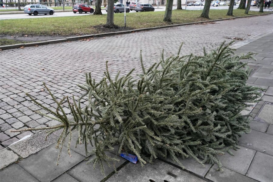 Burgstädt: Wann und wo werden die Weihnachtsbäume abgeholt? - Ein Weihnachtsbaum liegt auf einem Gehweg und wartet auf die Abholung.