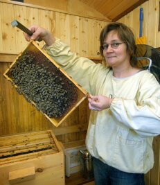 Burkersdorferin schwärmt für rastlose Bienen - 
              <p class="artikelinhalt">Imkerin Daniela Schulz liebt den Geruch der Honigwaben im Bienenhaus und die geflügelten Arbeiter sowieso. </p>
            
