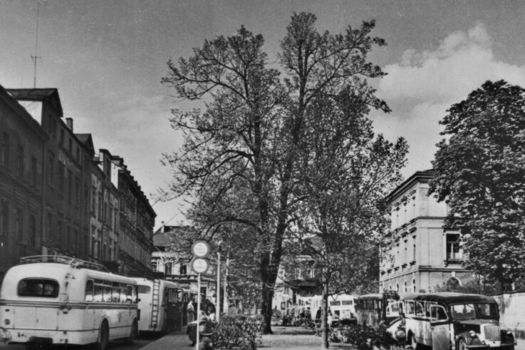 Buslinie in Reichenbach hat seit 50 Jahren Bestand - Der Busbahnhof am damaligen Karl-Marx-Platz, dem heutigen Solbrigplatz. 
