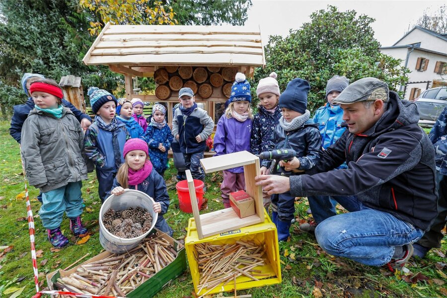 Callenberg: Das Paradies im Märchenland - Gemeinsam mit dem Tischler Sebastian Blumentritt haben Kita-Kinder ein Paradies für Insekten gebaut.
