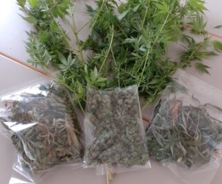 Cannabisfunde in Mittweida - Polizeibeamte machten diesen Fund in Mittweida.