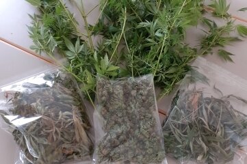 Cannabisfunde in Mittweida - Polizeibeamte machten diesen Fund in Mittweida.
