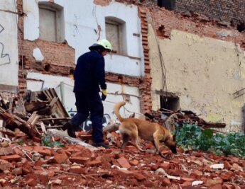 Mit Spürhunden sucht die Polizei am ehemaligen Marmorpalast nach Johanna Tuchscherer.
