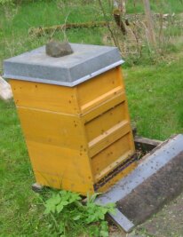 Chemnitz: Kompletter Bienenstock mit 60.000 Bienen abtransportiert - Der gestohlene Bienenstock aus Chemnitz hat die Maße 45 mal 50 mal 60 Zentimeter und wiegt etwa 40 Kilogramm.
