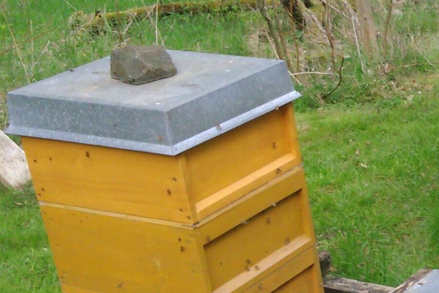 Chemnitz: Kompletter Bienenstock mit 60.000 Bienen abtransportiert - Der gestohlene Bienenstock aus Chemnitz hat die Maße 45 mal 50 mal 60 Zentimeter und wiegt etwa 40 Kilogramm.