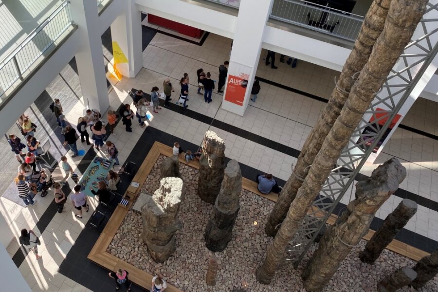Chemnitz startet in erste Museumsnacht seit zwei Jahren - 