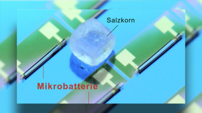 Chemnitzer Forscher entwickeln weltkleinste Batterie für Computer - Die kleinste Batterie der Welt ist kleiner als ein Salzkorn. 
