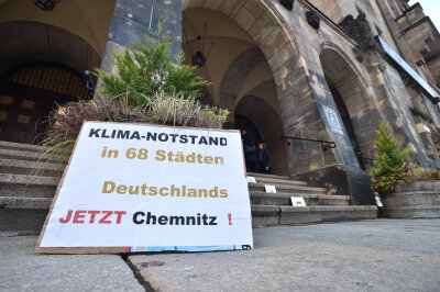 Die Demonstranten vor dem Rathaus forderten die Ausrufung des Klimanotstandes.