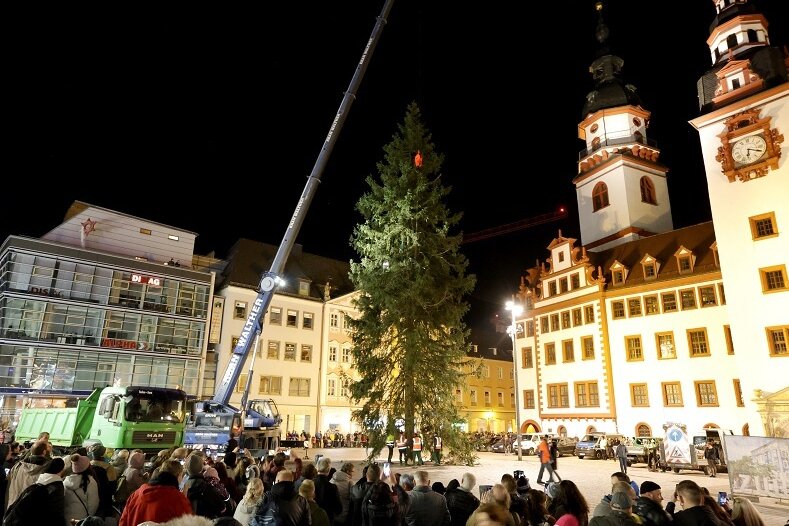 Chemnitzer Weihnachtsbaum 2021 auf dem Markt eingetroffen 