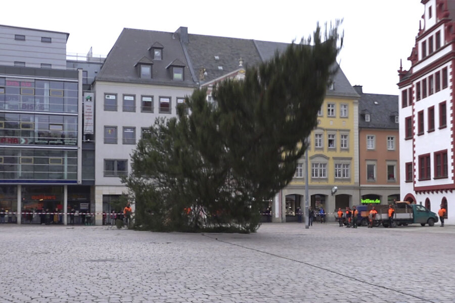 Chemnitzer Weihnachtsbaum fällt krachend zu Boden - 