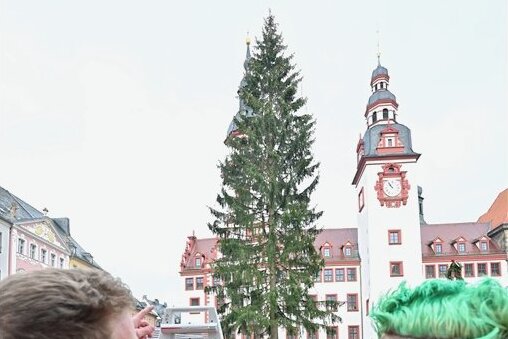 Chemnitzer Weihnachtsbaum liegt mit über 25 Metern gut im Rennen - 