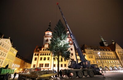 Chemnitzer Weihnachtsbaum steht - 