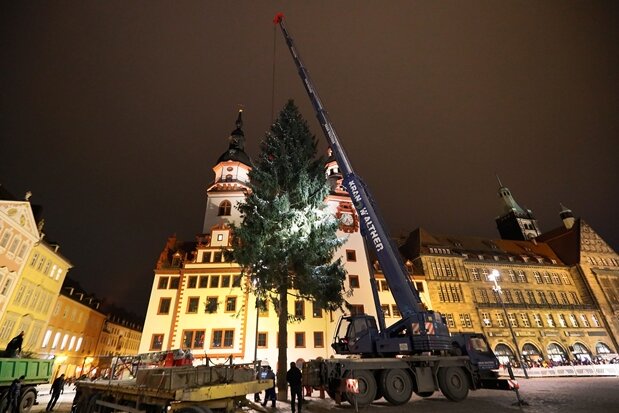 Chemnitzer Weihnachtsbaum steht - 