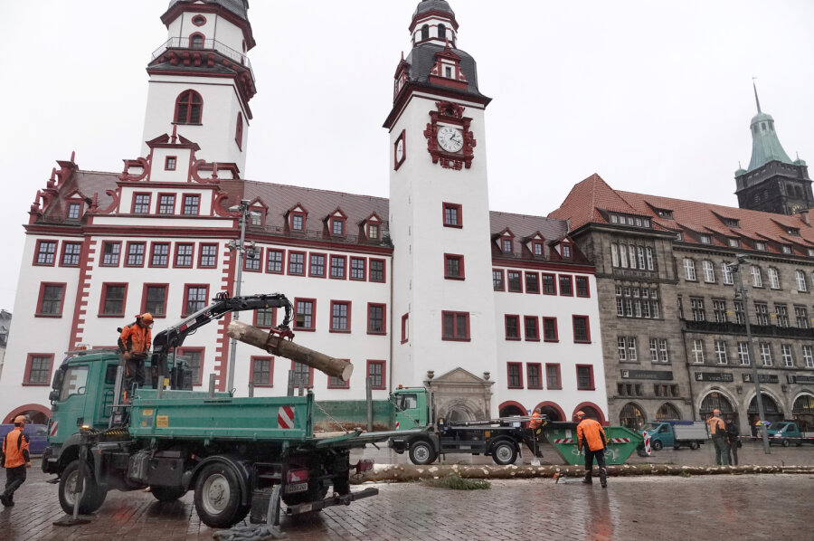 Chemnitzer Weihnachtsbaum wird zerlegt - 