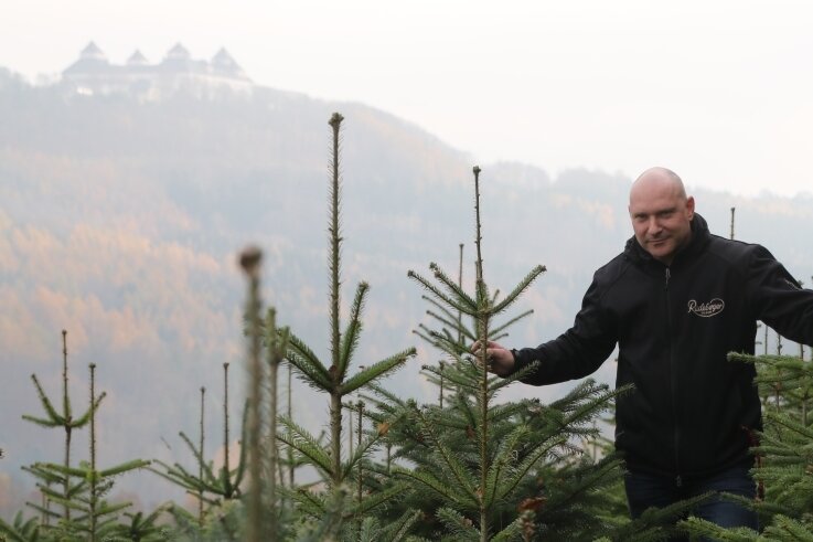 Selbst bei Nebel bietet sich ein einzigartiger Blick aus den Weihnachtsbaumkulturen von Uwe Müller auf das Schloss Augustusburg. 