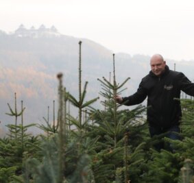 Christbaumsuche mit Rundumblick - Selbst bei Nebel bietet sich ein einzigartiger Blick aus den Weihnachtsbaumkulturen von Uwe Müller auf das Schloss Augustusburg. 