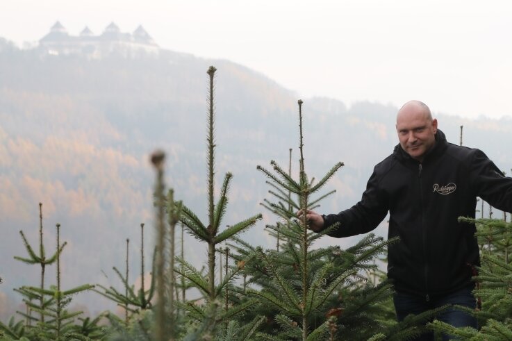 Christbaumsuche mit Rundumblick - Selbst bei Nebel bietet sich ein einzigartiger Blick aus den Weihnachtsbaumkulturen von Uwe Müller auf das Schloss Augustusburg. 