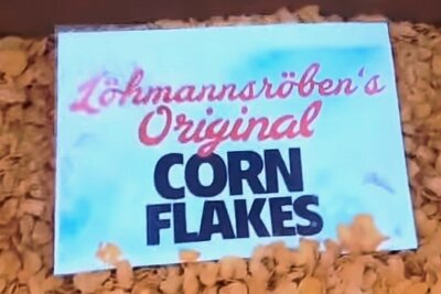 Cornflakes für den DFB - Die Fußballanhänger beweisen mehr Humor als der DFB. Inzwischen gibt es sogar schon T-Shirts mit Löhmannsröbens Cornflakes-Spruch.