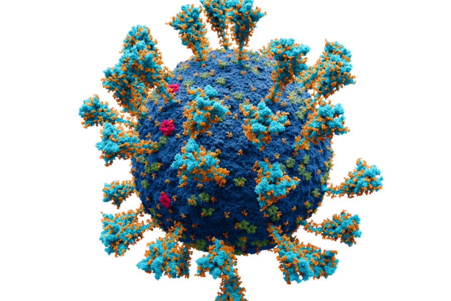 Darstellung des Coronavirus.