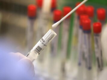 Corona in Sachsen: Inzidenzwert klettert auf 146 - elf neue Todesfälle - Ein Wattestäbchen mit einem Abstrich wird im Labor für einen Corona-Test verarbeitet.