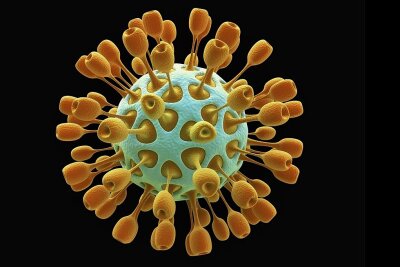 Corona-Krise: So ist die Lage im Kreis Zwickau am Mittwoch - Benannt sind Coronaviren nach ihrer Form. Die runden Viruspartikel verfügen über sogenannte Peplomere, Spitzen, die kranz- oder kronenförmig aus dem Viruskörper herausragen. 