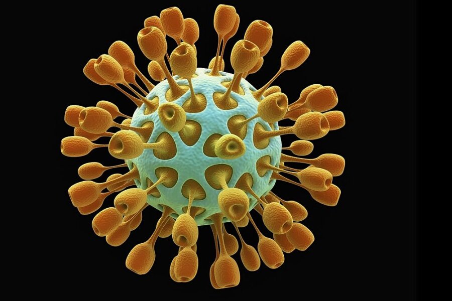 Corona-Krise: So ist die Lage im Kreis Zwickau am Mittwoch - Benannt sind Coronaviren nach ihrer Form. Die runden Viruspartikel verfügen über sogenannte Peplomere, Spitzen, die kranz- oder kronenförmig aus dem Viruskörper herausragen. 