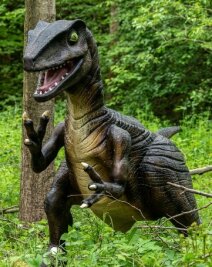 Corona-Lage im Vogtland: Weitere Lockerungen treten heute in Kraft - Ein Velociraptor taucht aus dem hohen Gras im Freizeitpark Plohn auf. Heute entfällt dort die Testpflicht.