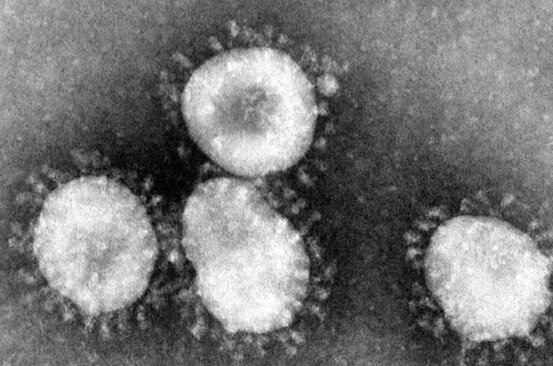 Coronavirus: Auswirkungen im Vogtland - 