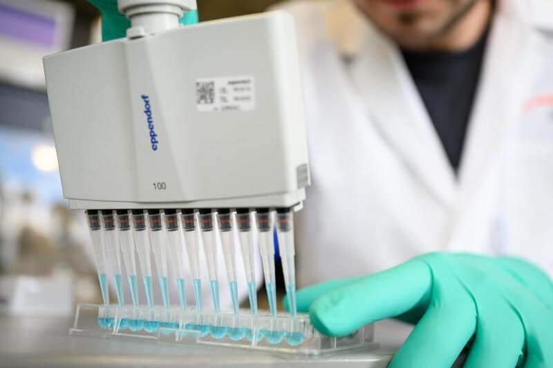            Suche nach einem Impfstoff: Ein Mann pipettiert in einem Labor des biopharmazeutischen Unternehmens Curevac eine blaue Flüssigkeit.