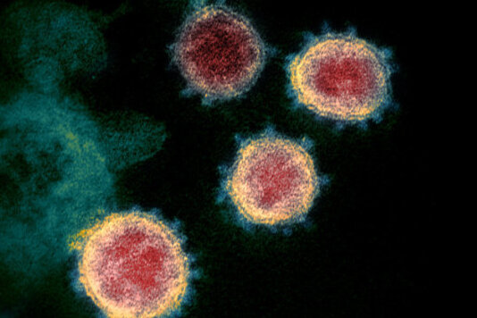 Coronavirus: Erster Toter im Erzgebirgskreis - 