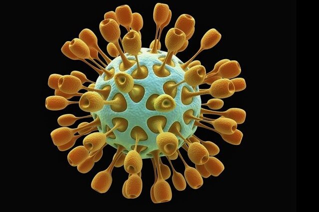 Coronavirus: Fast 100 Neuerkrankungen im Erzgebirge am Donnerstag - 