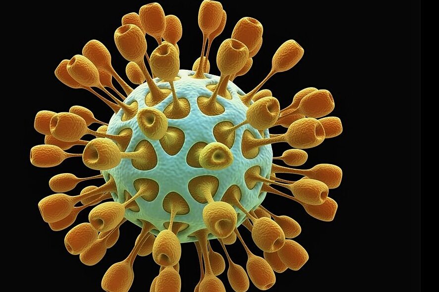 Benannt sind Coronaviren nach ihrer Form. Die runden Viruspartikel verfügen über sogenannte Peplomere, Spitzen, die kranz- oder kronenförmig aus dem Viruskörper herausragen. 