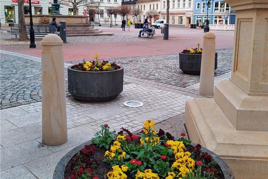 Crimmitschau: Blumenkübel zieren die Innenstadt - Frühlingserwachen in Crimmitschau: Blumenkübel zieren den Marktplatz in der Innenstadt. 