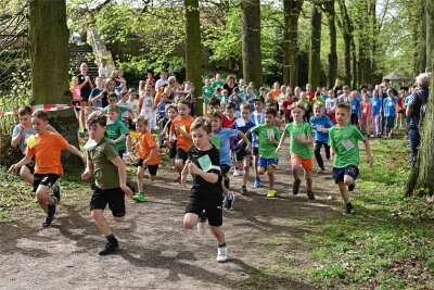 Crosslauf in Wechselburg: Diese Schulen sind die Sieger - Hunderte Läufer gingen am Dienstag zum Crosslauf der Schulen im Schlosspark Wechselburg an den Start, darunter die Jungen des Jahrgangs 2016.