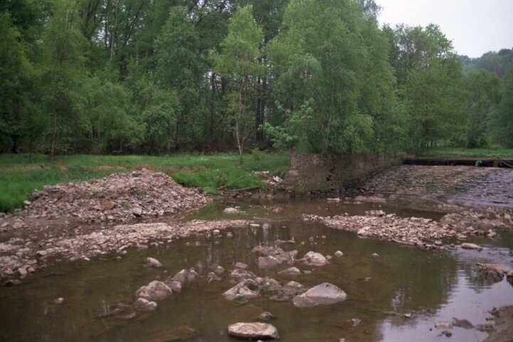 Das Wehr kontra Bachneunauge: Das Habitat ID 30510 (Ausleitungsstrecke "Steyermühle") sei stark beeinträchtigt durch sehr geringe Wasserführung/Trockenfallen, hieß es 2019 in einem Gutachten der Stadt Großschirma.