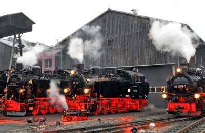 Dampfrösser in voller Schönheit - Mit einer Lokschau vor dem Lokschuppen des Bahnhofs Oberwiesenthal wurde vor fünf Jahren das 120-jährige Bestehen der Schmalspurstrecke gefeiert. 