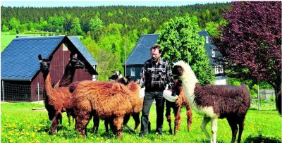 Damwild, Lamas und Blütenbilder - Andrea und Michael Thierfelder aus Auerbach züchten Lamas.  