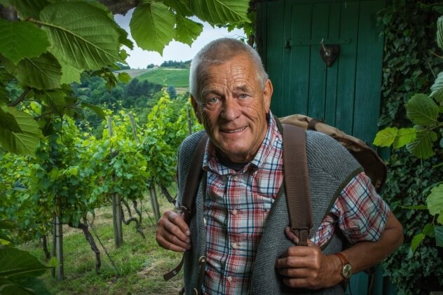 Weinbau kann in Arbeit ausarten: Ludwig Martin Rade in seinem Weinberg bei Sörnewitz.