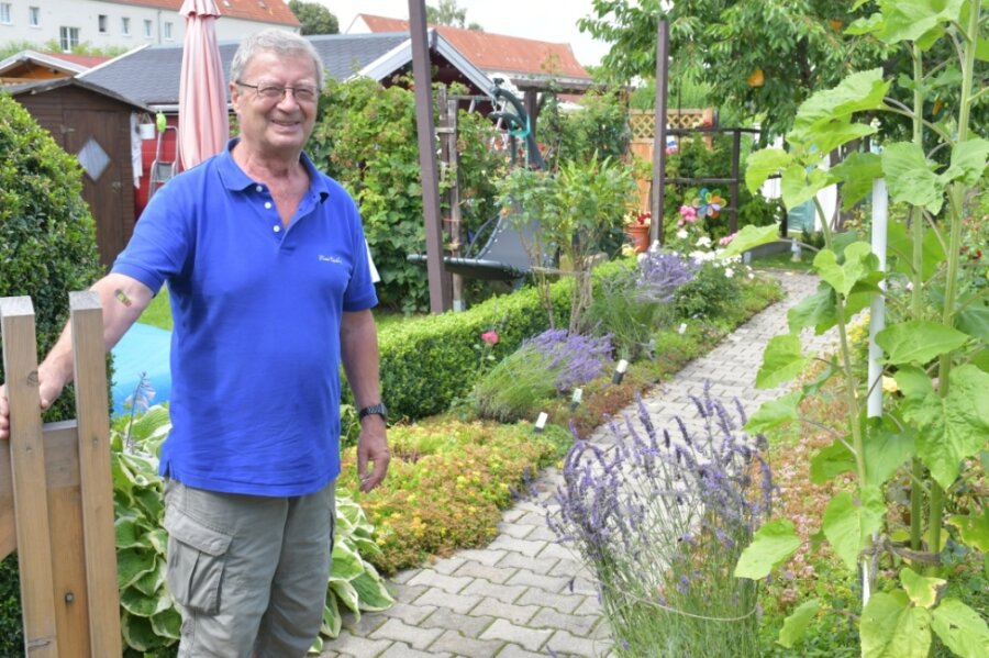 Das Fleckchen Grün gleich vor der Haustür - Vereinschef Frank Fischer in seinem Garten am Forstweg in Freiberg. 