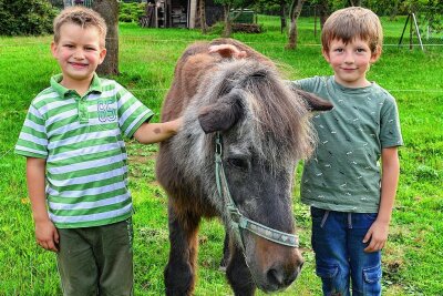 Das Gnadenbrot schmeckt noch: Ist Malmo das älteste Pferd in Sachsen? - Auch die Nachbarkinder Tamo (l.) und Mats haben in Mühlbach Pony Malmo ins Herz geschlossen. Beide helfen regelmäßig bei der Pflege des mittlerweile 42 Jahre alten Pferdes. 