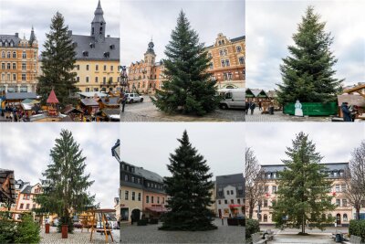 Das ist im Erzgebirge der schönste Weihnachtsbaum - Waldarbeiter-Jury hat entschieden - Wer ist der schönste? Zur Auswahl stehen die Weihnachtsbäume in Annaberg (oben links und weiter im Uhrzeigersinn), Stollberg, Marienberg, Aue, Zschopau und Schwarzenberg.