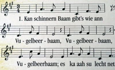 Das Lied vom Vugelbeerbaam - Da dieses Lied vorwiegend im Erzgebirge und Vogtland gesungen wird, wurde der Liedtitel auch verschieden geschrieben. "Vugelbeerbaam" steht auf den meisten der gedruckten Liedpostkarten. 