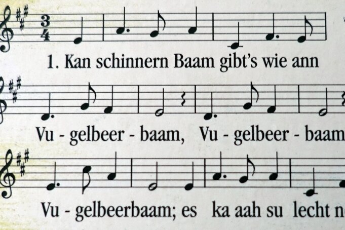 Das Lied vom Vugelbeerbaam - Da dieses Lied vorwiegend im Erzgebirge und Vogtland gesungen wird, wurde der Liedtitel auch verschieden geschrieben. "Vugelbeerbaam" steht auf den meisten der gedruckten Liedpostkarten. 