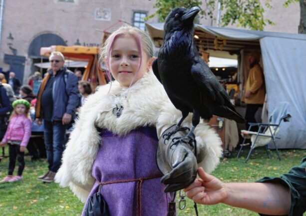 Das Mittelalter hat an Faszination nichts verloren - Die siebenjährige Elli Wagener mit dem Raaben auf ihrem Arm. 